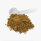 MUSHROOM COFFEE